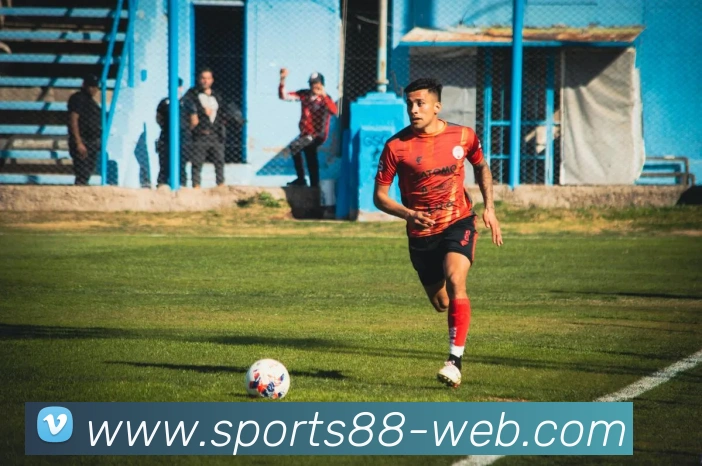 88体育平台生态图